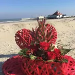 Hotel Viamare Milano Marittima