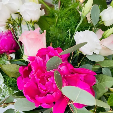 Hotel Viamare Milano Marittima