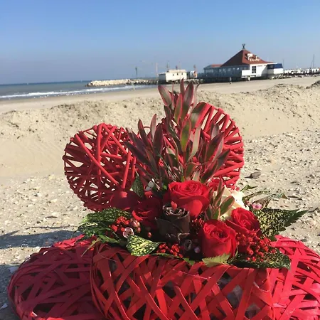 Hotel Viamare Milano Marittima