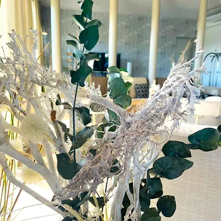 Hotel Viamare Milano Marittima