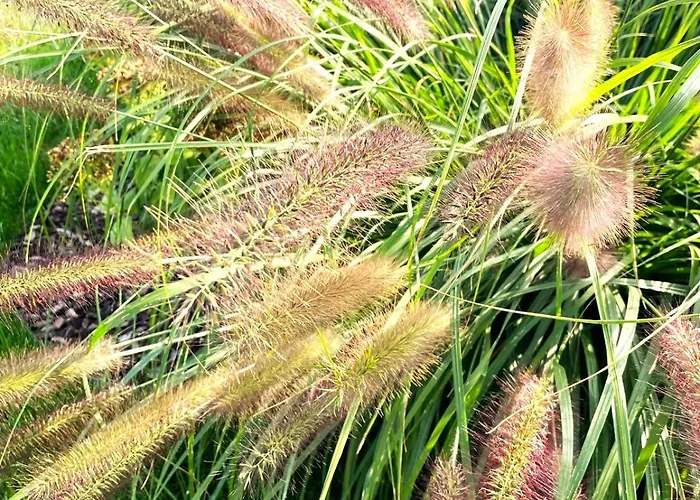 Viamare 3* Milano Marittima